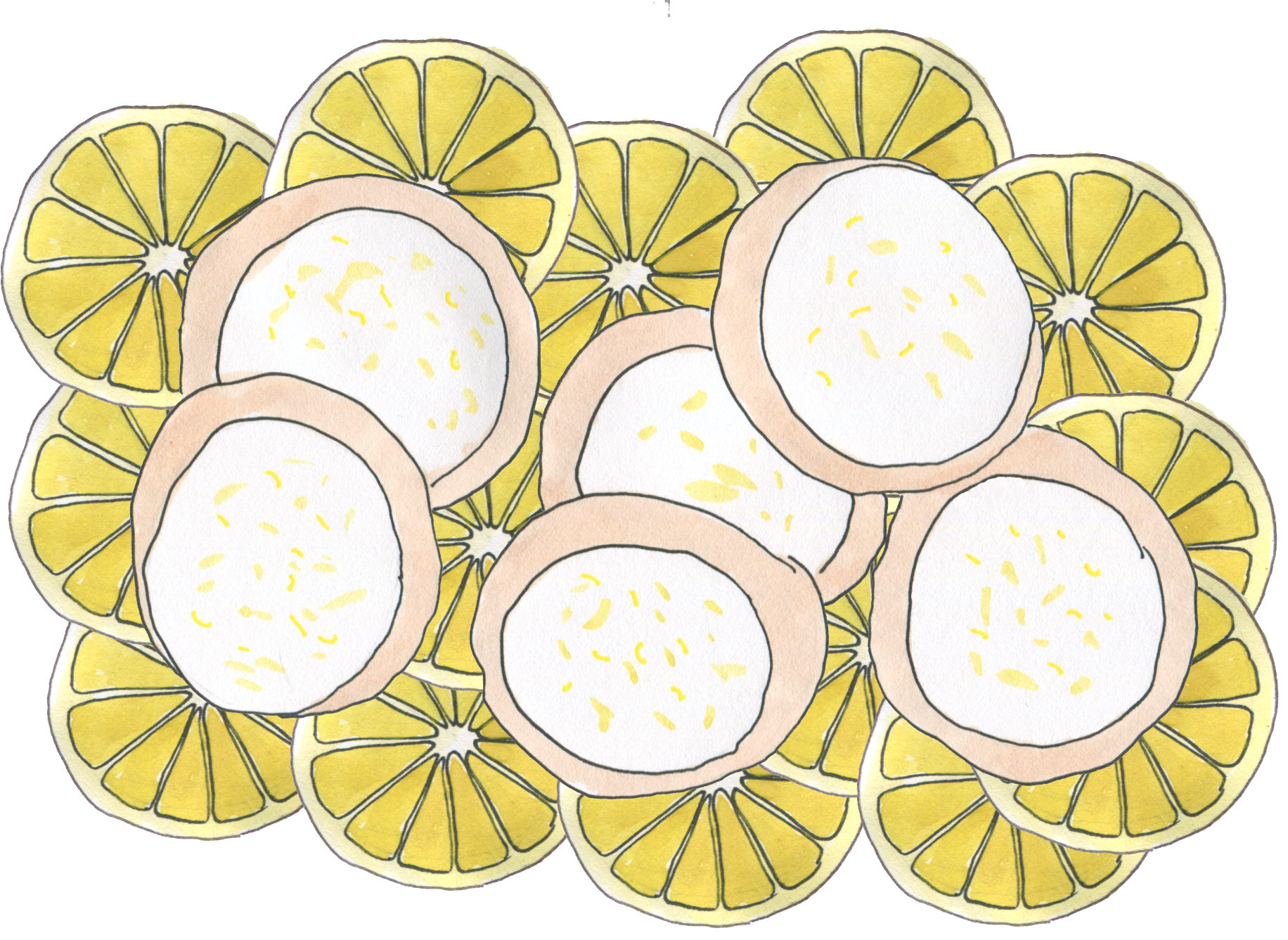 Italian lemon cookies with a background of sliced lemons